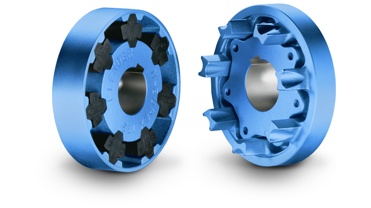 N-EUPEX DS ͹