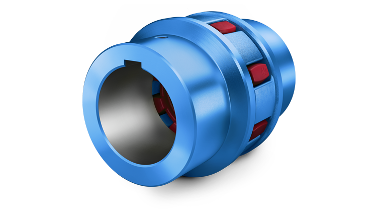N-BIPEX צ